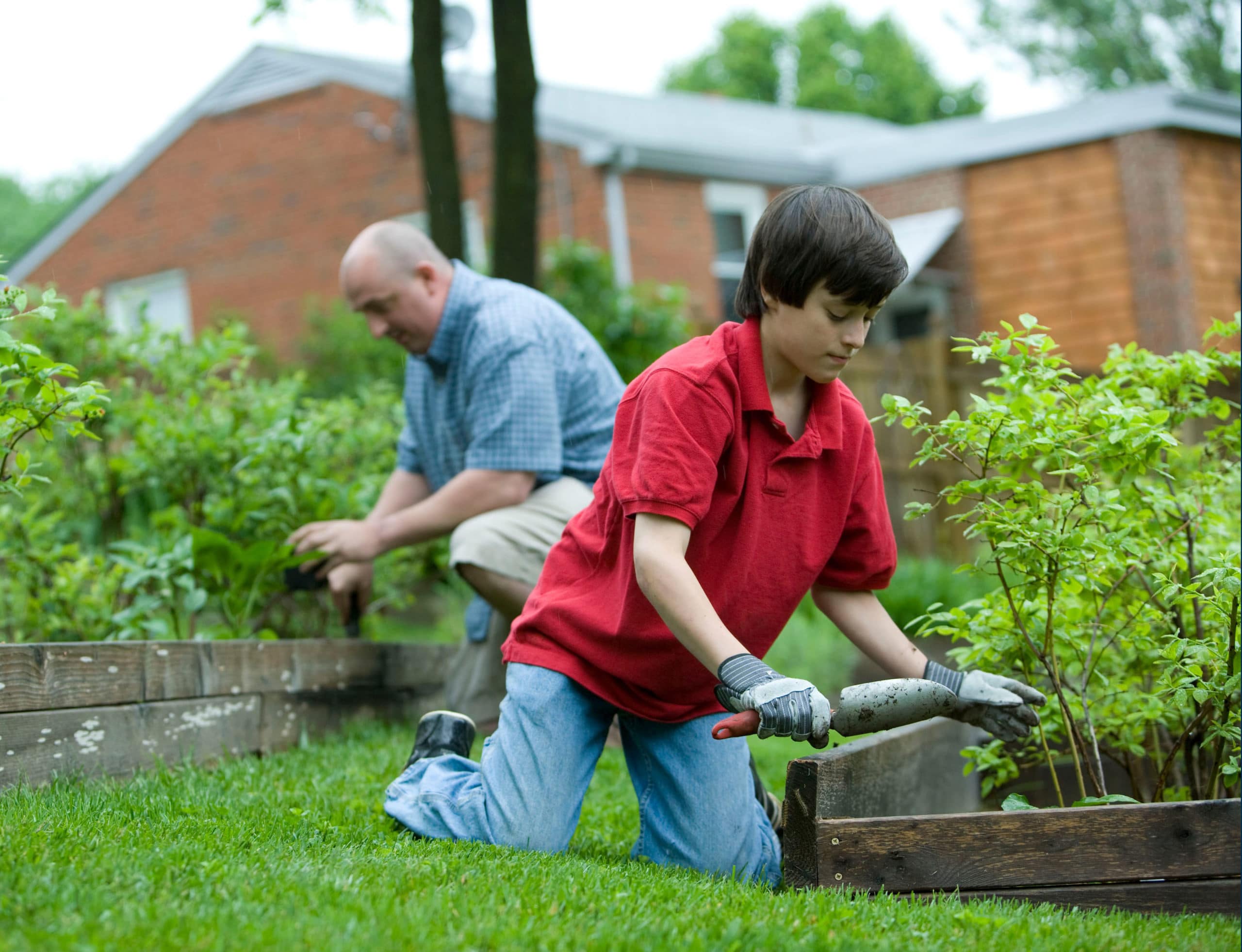 agriculture-urbaine-jardins-partages