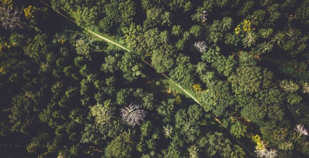 Transformation écologique - Abylon Conseil